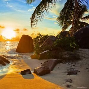 Meet your Posher, Jeff